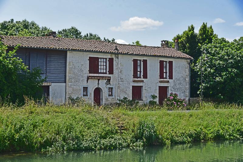 min 2025 06 08 Marais Poitevin 175